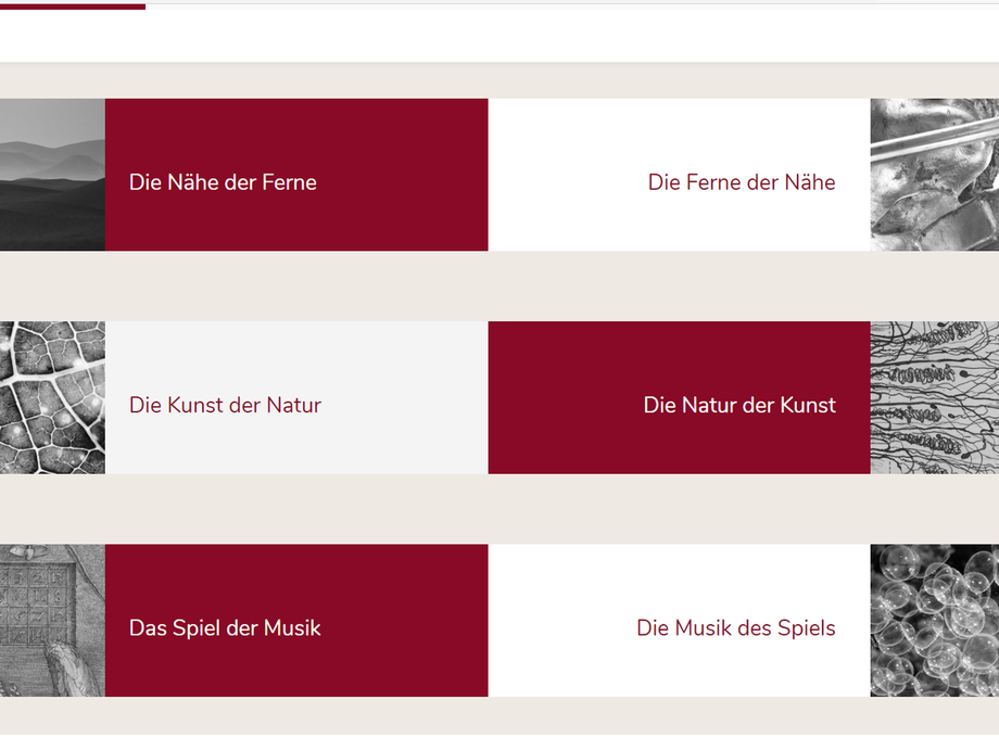 Website Screenshot Themenorientierte Werkschau