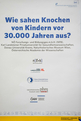 Projektbeschreibung