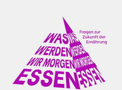 Titel des Symposion Dürnstein in Form sich einer zuspitzenden Pyramide...