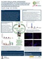 Impact Award 2023: Poster Martin Nagl